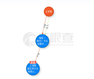 起底王思聰投資神話 吹出來的泡沫？
