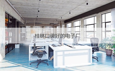 桂林十大優(yōu)質公司及計算機軟件行業(yè)待遇分析